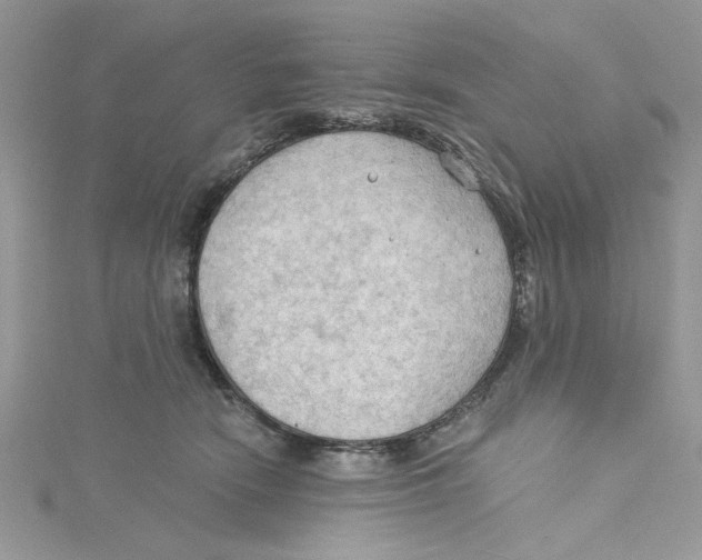 X0000114630466200911171013