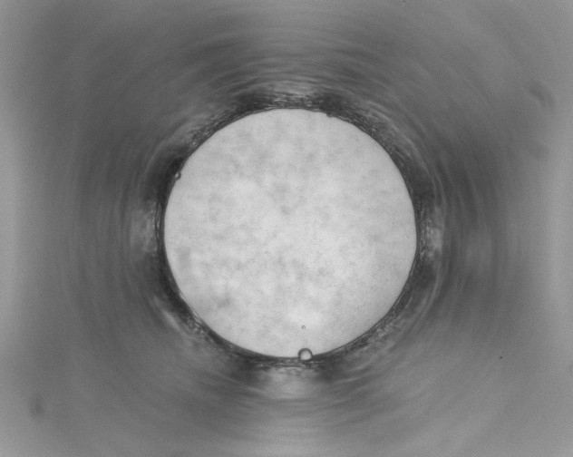 X0000114630468200911171013