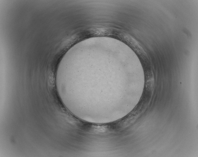 X0000114630469200911171013