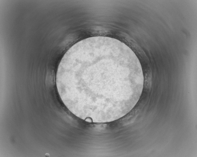 X0000114630474200911171014