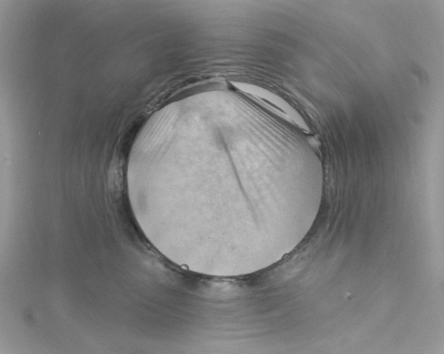 X0000114630475200911171014