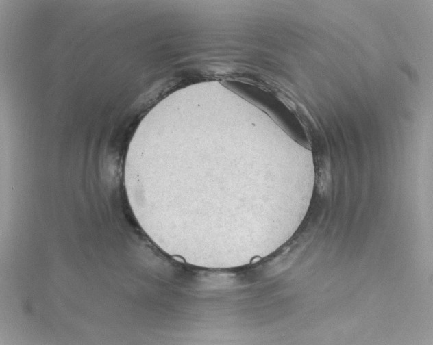 X0000114630476200911171014