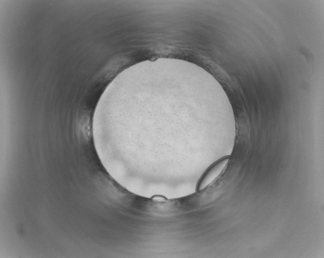 X0000114630479200911171014