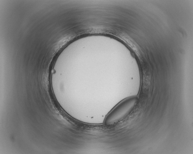 X0000114630485200911171013