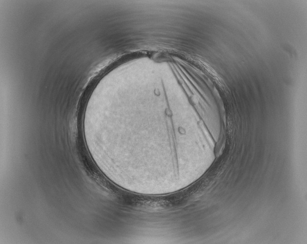 X0000114630488200911171013