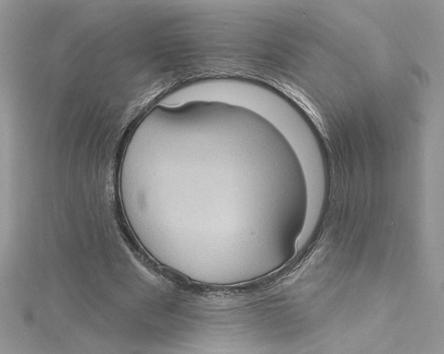 X0000114630489200911171013