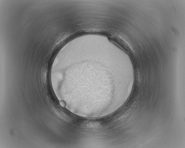 X0000114630491200911171013