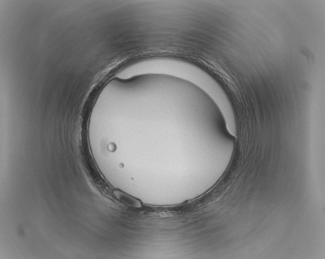 X0000114630492200911171013