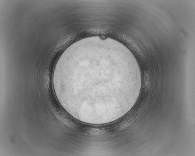 X0000114630494200911171013