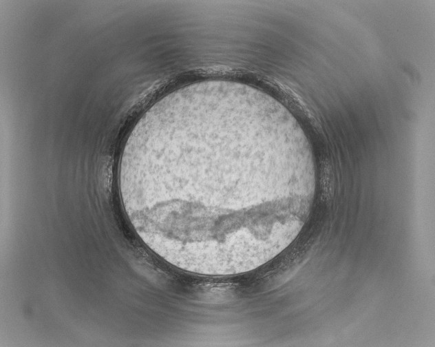 X0000114630495200911171013