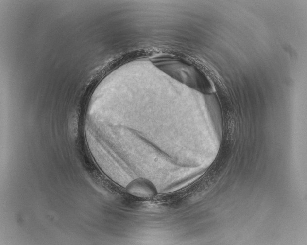 X0000114630496200911171013