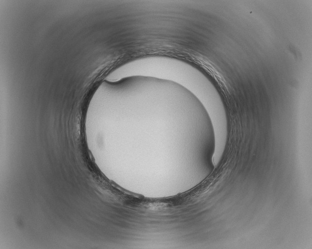 X0000114630501200911171013