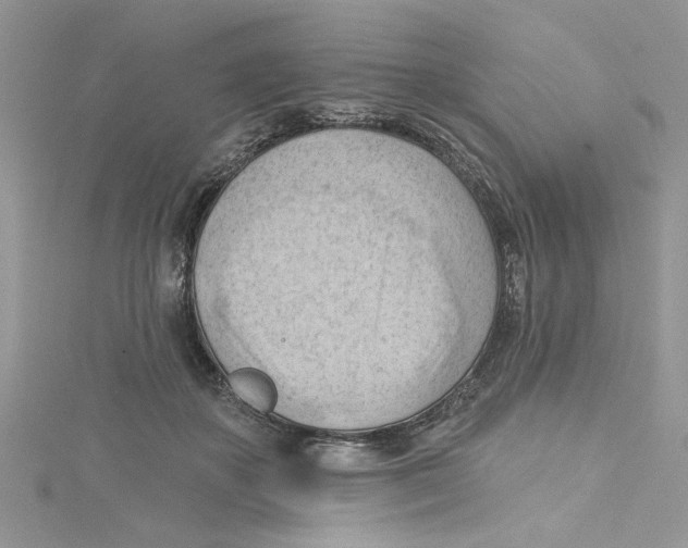 X0000114630507200911171013