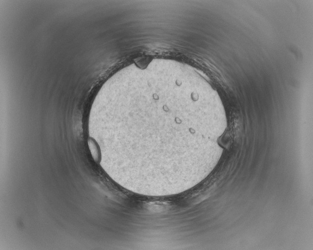 X0000114630508200911171013