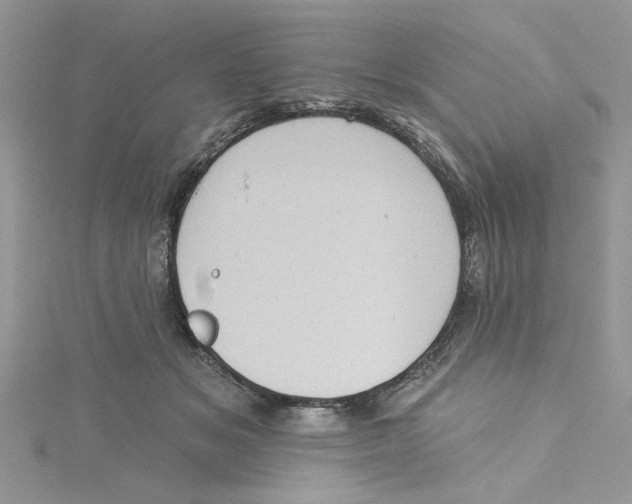 X0000114630509200911171013