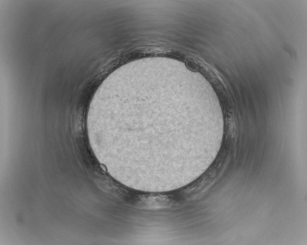 X0000114630517200911171013