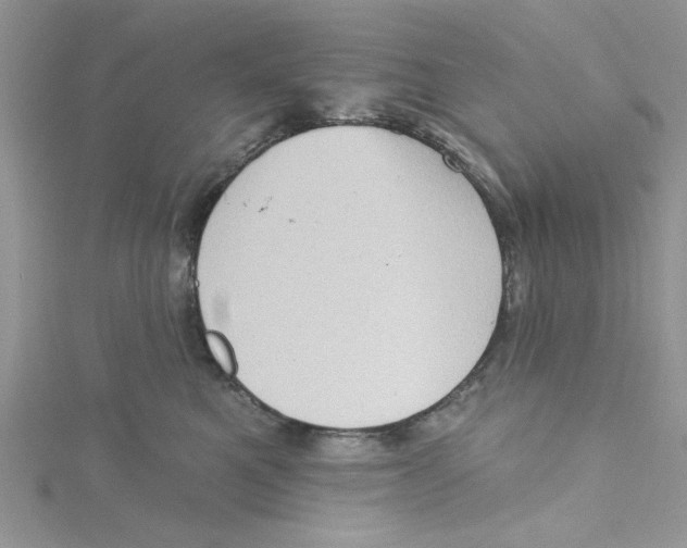 X0000114630521200911171012