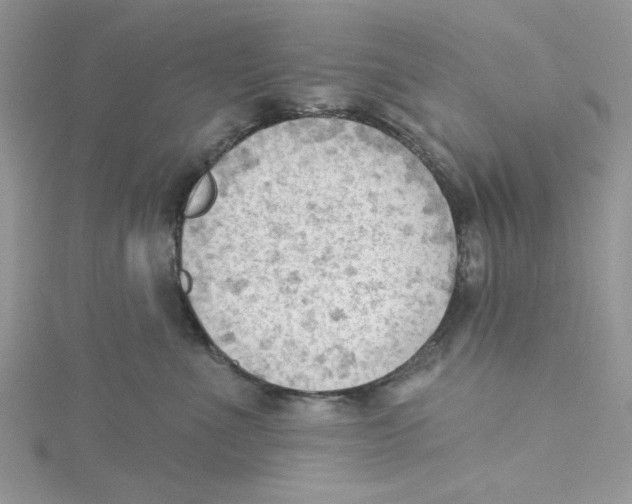 X0000114630523200911171012