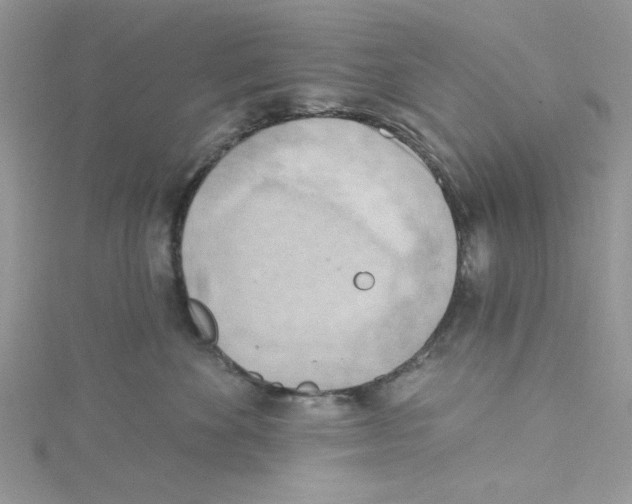 X0000114630524200911171012