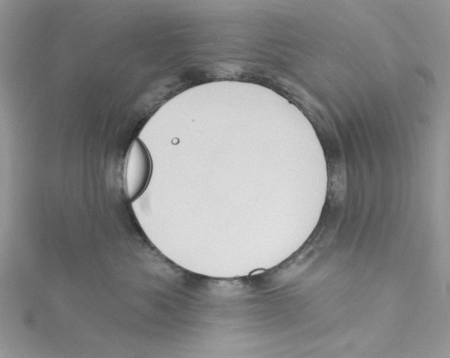 X0000114630525200911171012