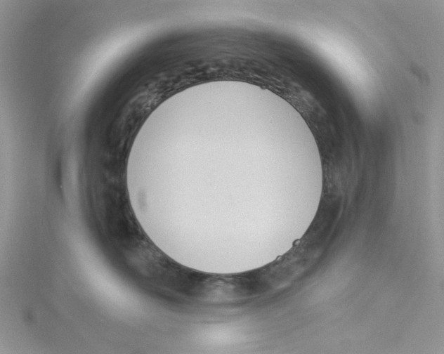 X0000114630526200911171012