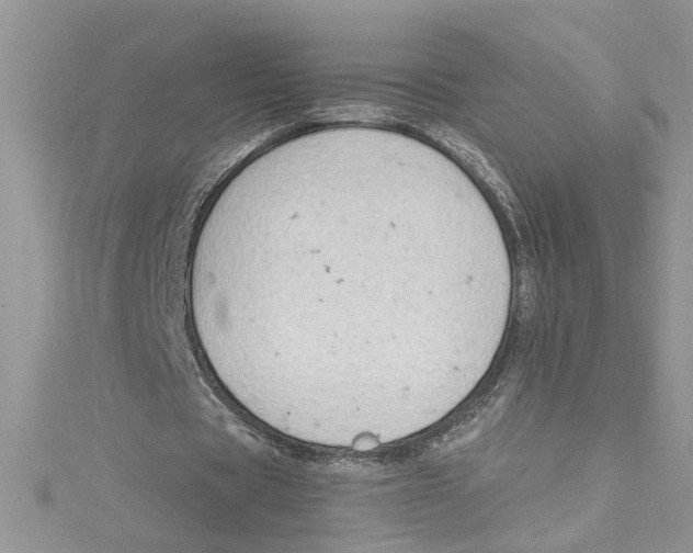 X0000114630529200911171012