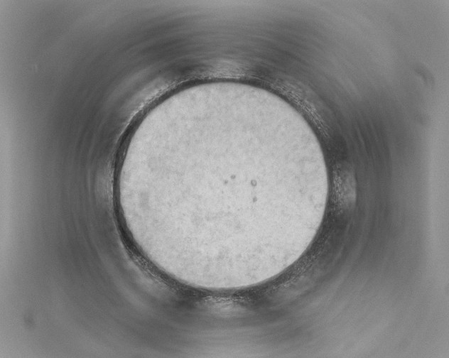 X0000114630534200911171012