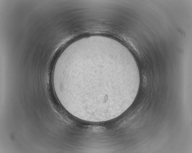 X0000114630539200911171012