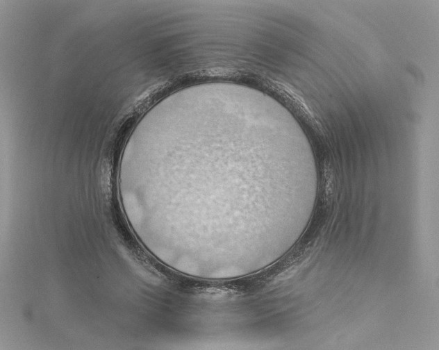 X0000114630542200911171012