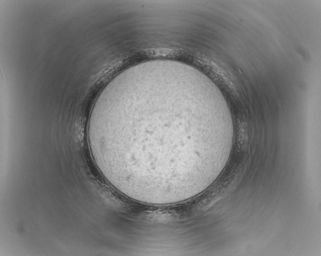 X0000114630545200911171012