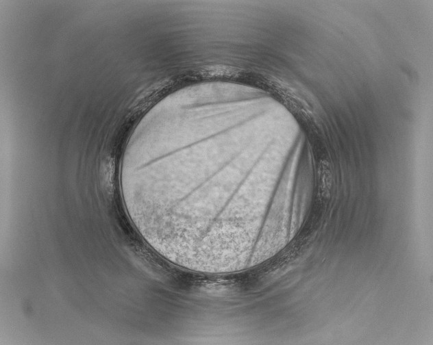 X0000114630550200911171012