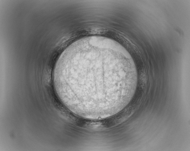 X0000114630554200911171012