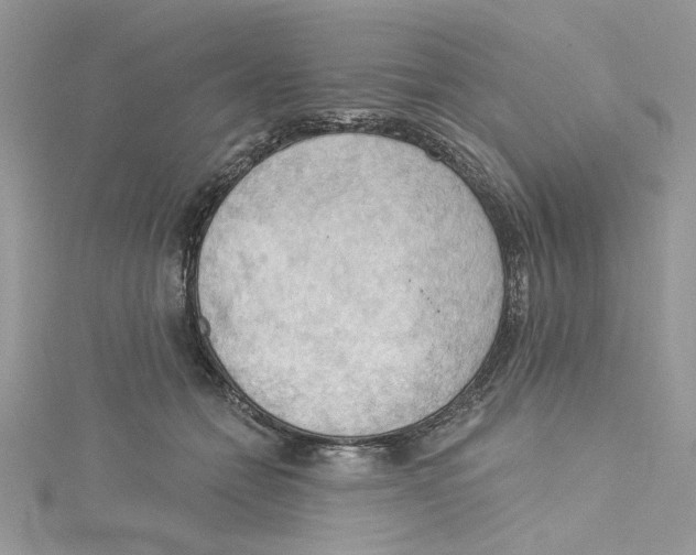 X0000114630558200911171012