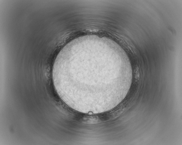 X0000114630559200911171012