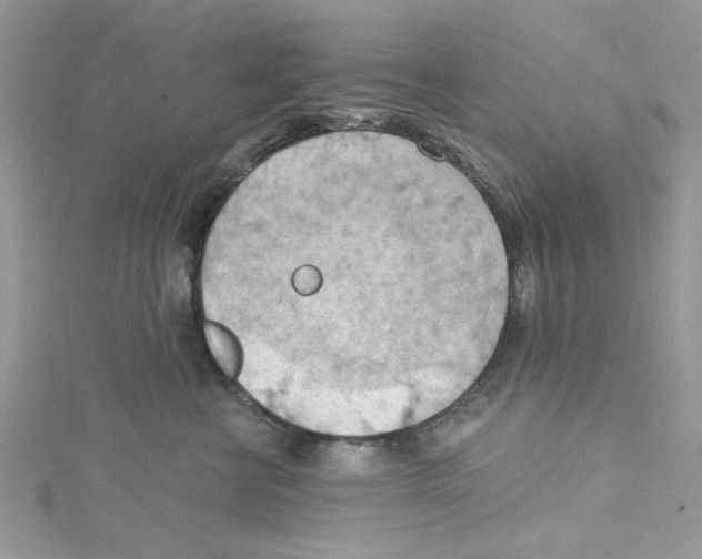 X0000114630570200911171012