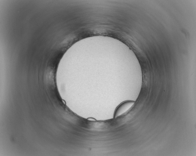 X0000114630575200911171012