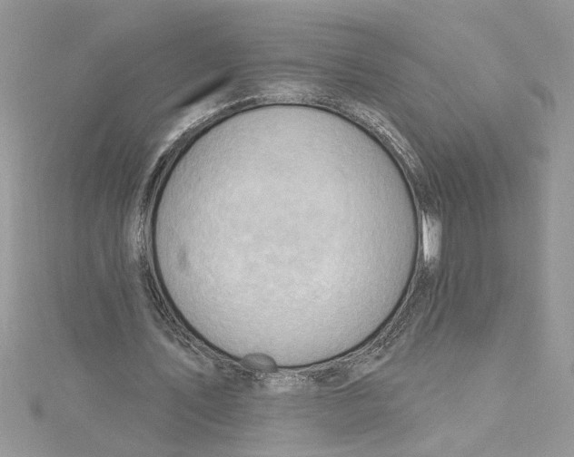 X0000114630579200911171012