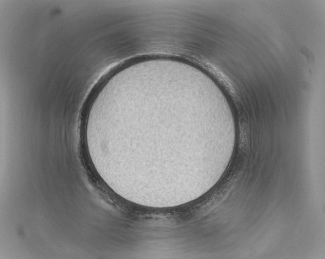 X0000114630580200911171012