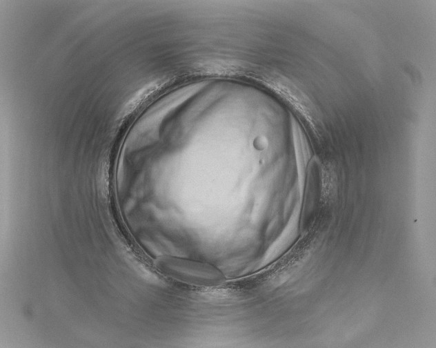 X0000114630581200911171012