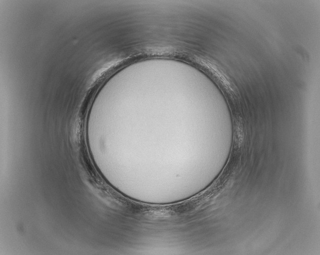 X0000114630583200911171012