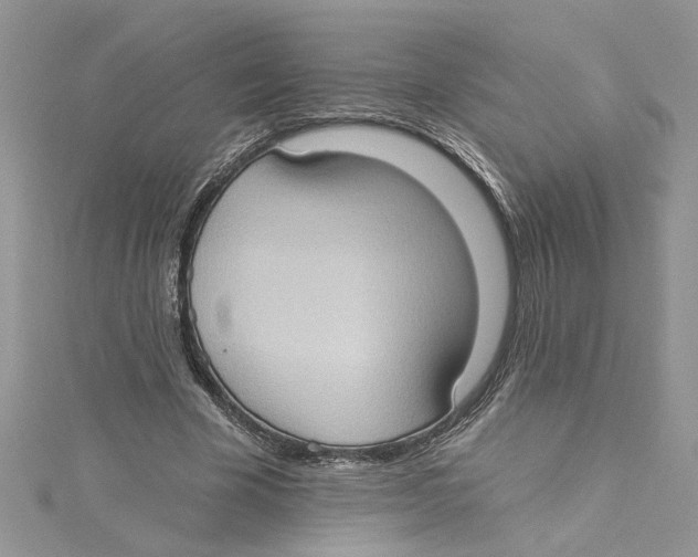 X0000114630585200911171012