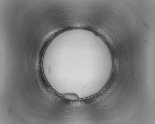 X0000114630587200911171012