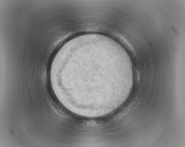 X0000114630588200911171012