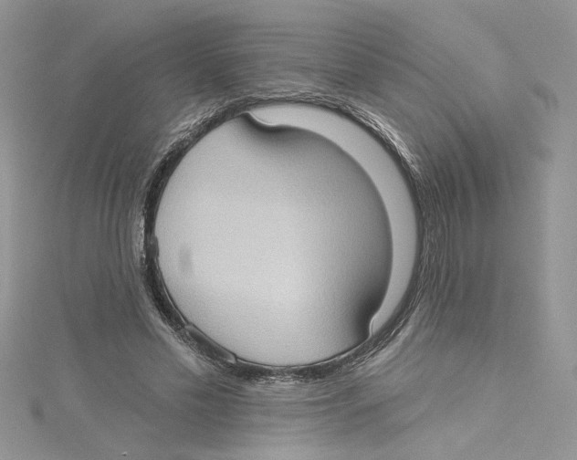 X0000114630589200911171012