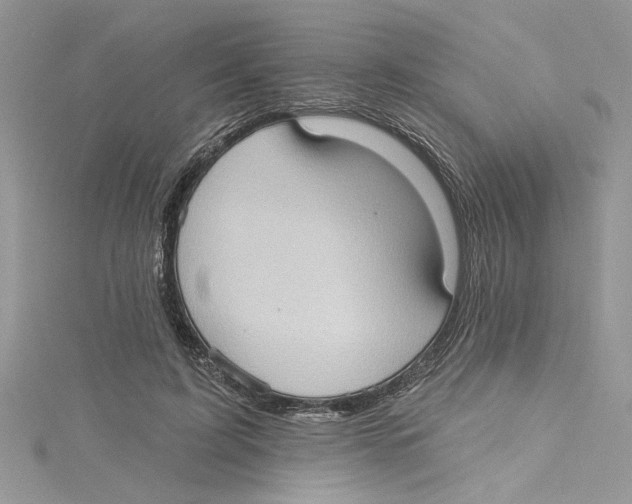 X0000114630595200911171012