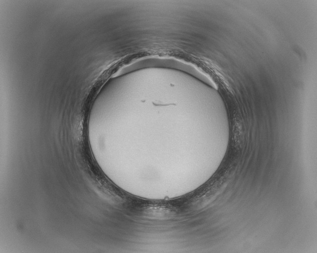 X0000114630596200911171012