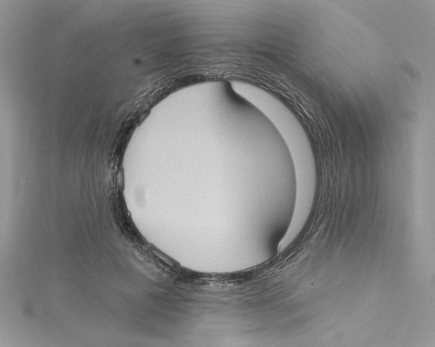 X0000114630601200911171011