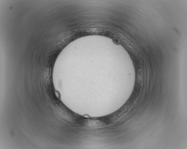 X0000114630605200911171011