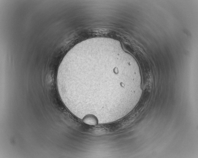 X0000114630608200911171011