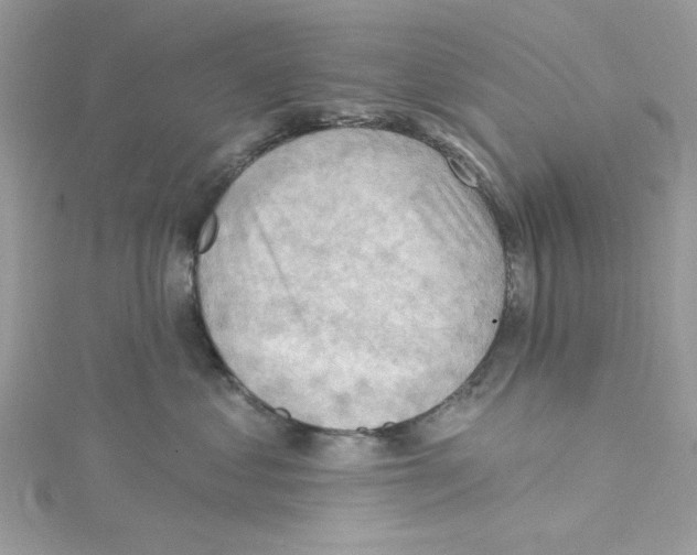 X0000114630621200911171011